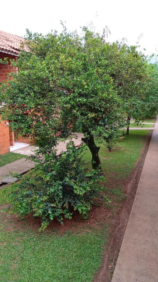 Apto Duplex Maranduba Ii Sape A 100 Mts Da Apartamento