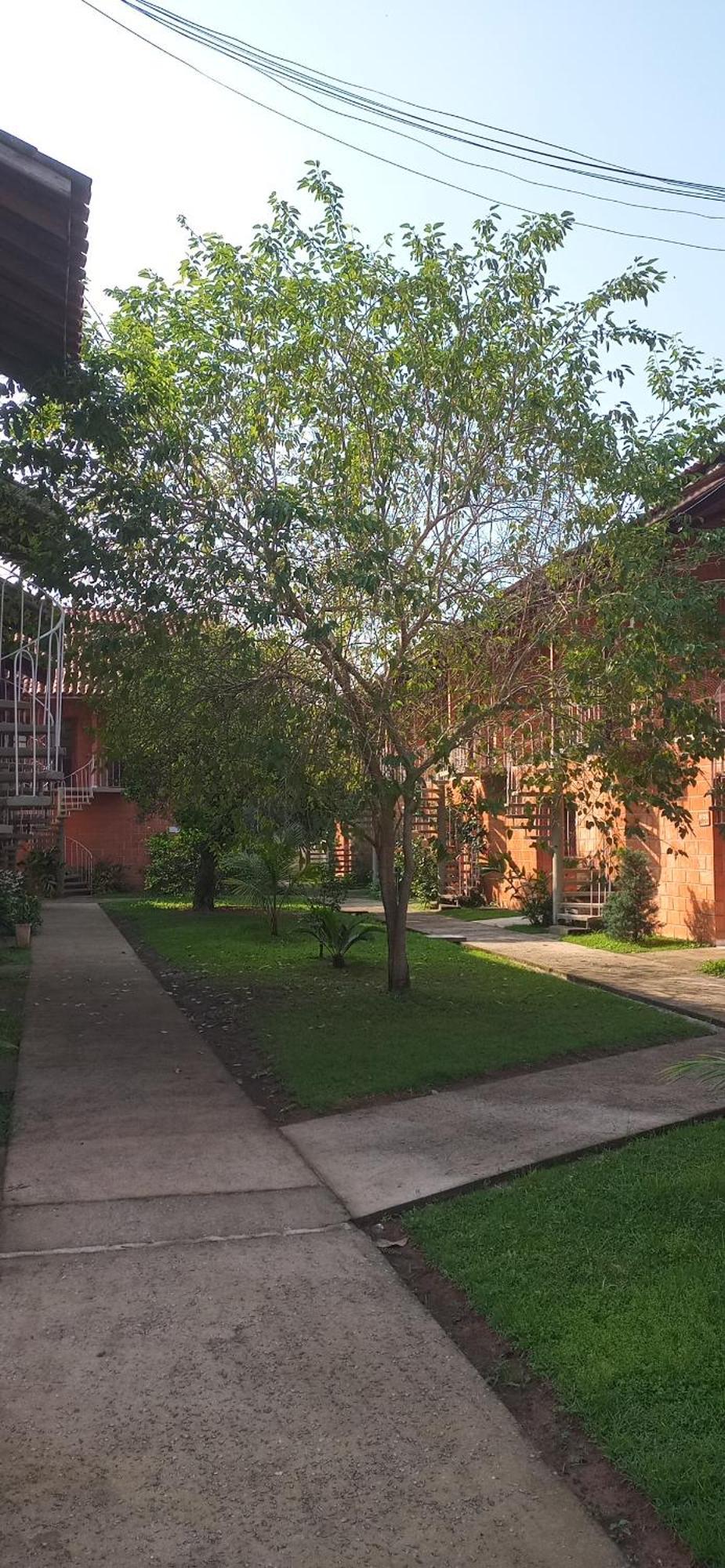 Apto Duplex Maranduba Ii Sape A 100 Mts Da Apartamento *